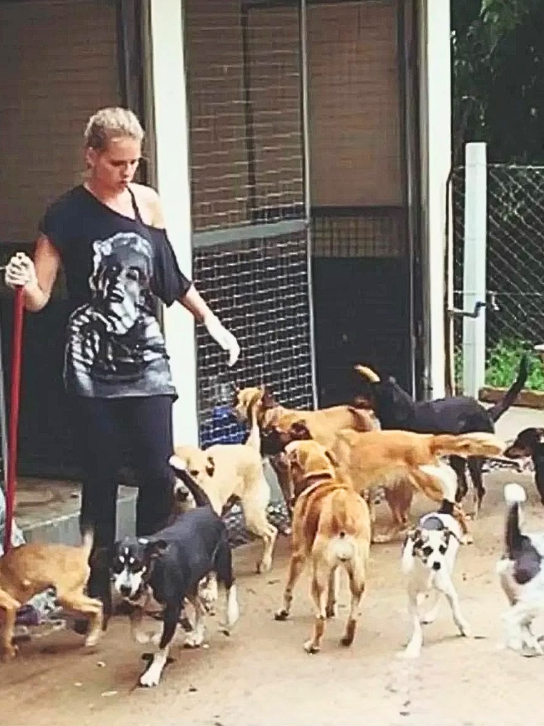 Bruna trabalhando no Canil Municipal, cercada de cães resgatados