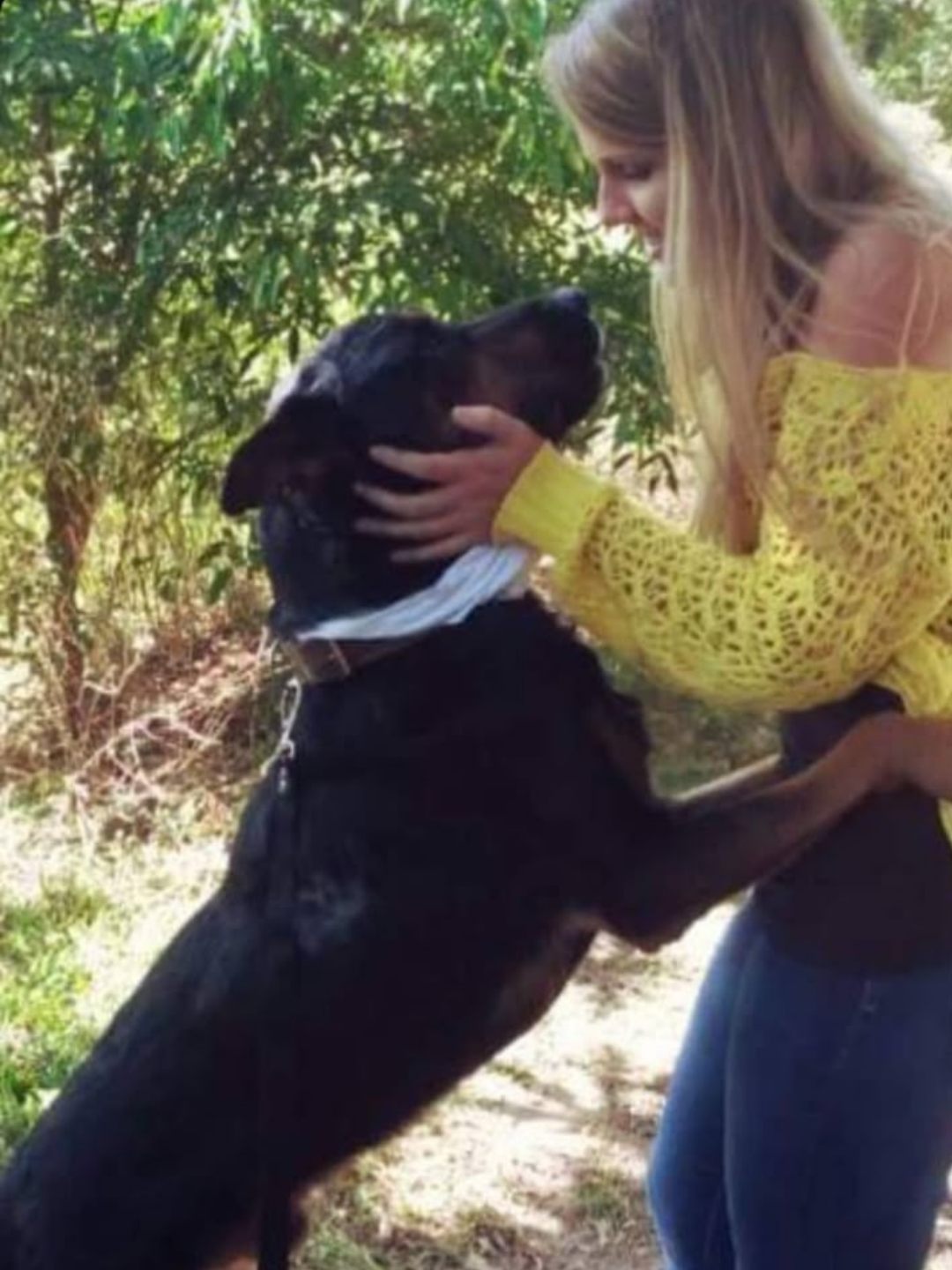 Bruna fazendo carinho em um cachorro resgatado