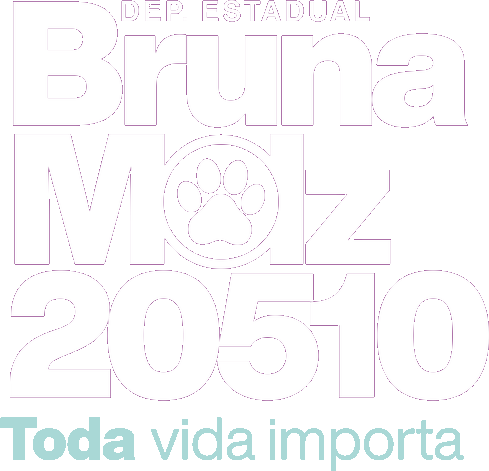 Bruna Molz — Candidata a Deputada Estadual, número 20510